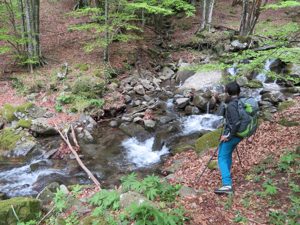 L'itinerario, sviluppandosi nei dintorni di Castronovo, evidenzia come l'acqua delle sorgenti e dei canali abbia influenzato lo sviluppo del borgo nel tempo; 